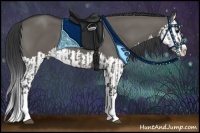 Horse Color:Grullo Sabino Splash  and Grullo Sabino Splash 