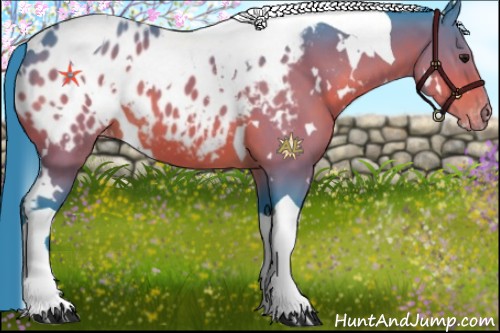Horse Color:Watercolor White Spotted Bay Tobiano Appaloosa