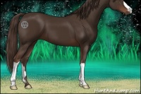 Horse Color:Liver Chestnut 