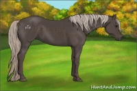 Horse Color:Silver Black 
