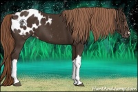 Horse Color:Liver Chestnut 