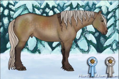 Horse Color:Silver Brown Dun 