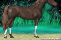 Horse Color:Liver Chestnut 