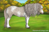 Horse Color:Gray White Spotted Silver Grullo Roan Rabicano