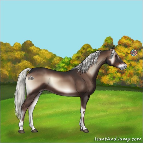 Horse Color:Liver Red Onyx 