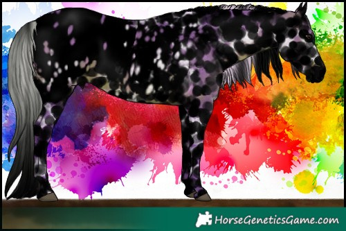 Horse Color:Void Watercolor Silver Brown Ice Appaloosa 