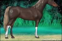 Horse Color:Liver Chestnut 