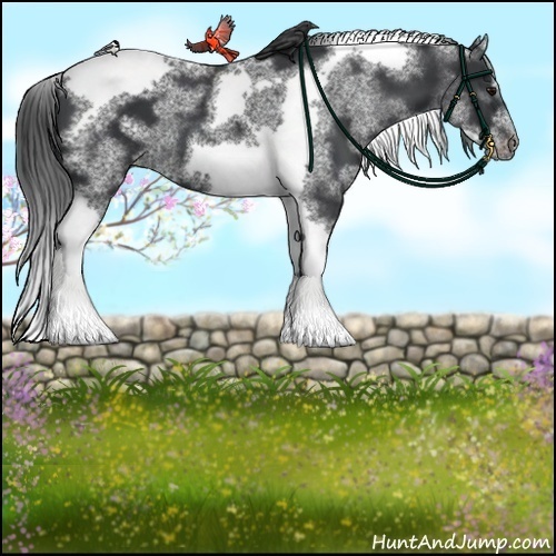 Horse Color:White Spotted Black Splash Tobiano Frame Varnish 