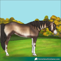 Horse Color:Liver Red Onyx Brindle 