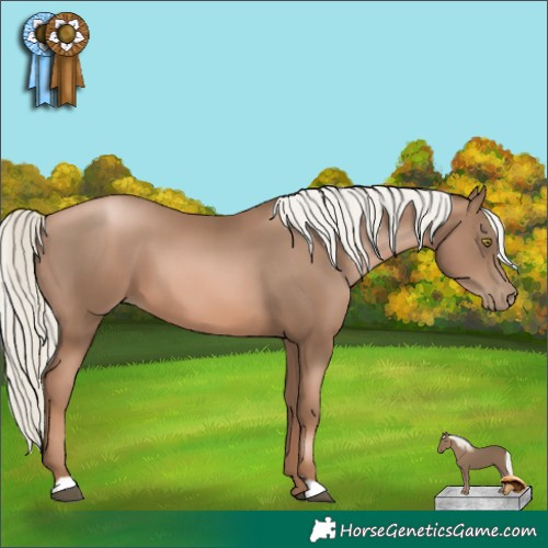 Horse Color:Liver Chestnut Pearl Mushroom 