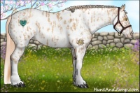 Horse Color:Gold Champagne Appaloosa  and Gold Champagne Appaloosa 