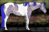 Horse Color:Watercolor Buckskin Ice Onyx Tobiano 