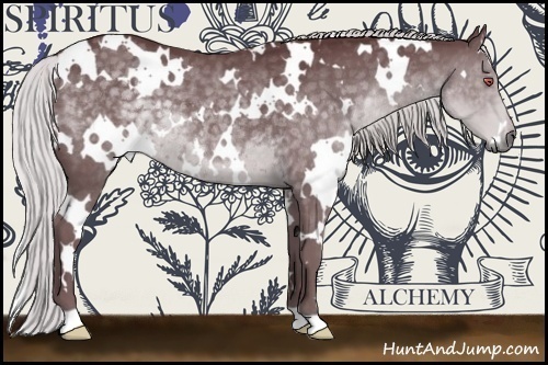 Horse Color:White Spotted Chocolate Silver Black Chinchilla 