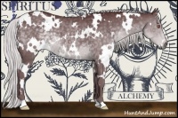 Horse Color:White Spotted Chocolate Silver Black Chinchilla 