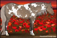 Horse Color:White Spotted Silver Grullo 