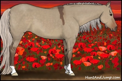 Horse Color:Silver Grullo 