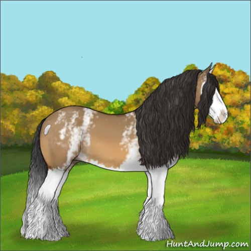 Horse Color:White Spotted Bay Dun Sabino Splash 
