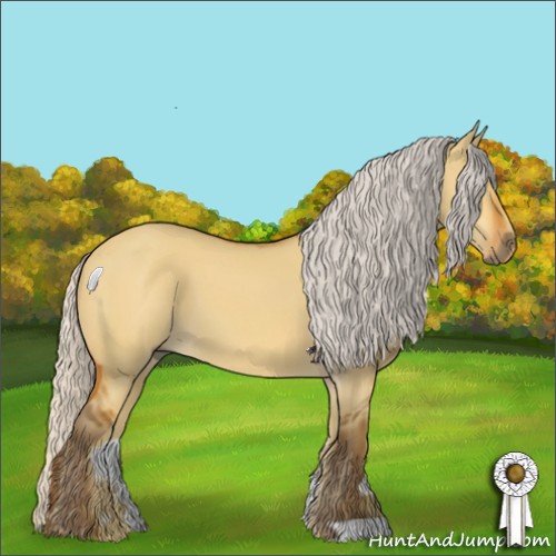 Horse Color:Silver Bay Dun 
