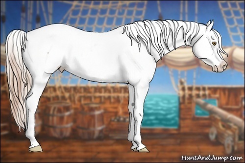Horse Color:Gold Champagne Splash Tobiano Near Fewspot and Gold Cream Champagne Pearl Sabino Near Leopard Rabicano
