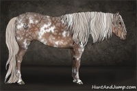 Horse Color:White Spotted Silver Black Ice