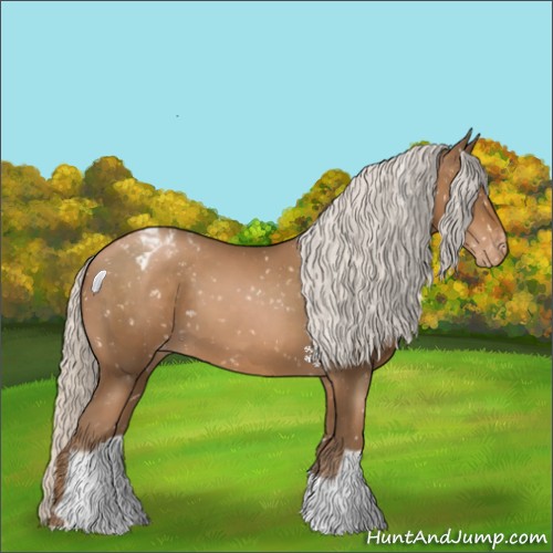 Horse Color:Silver Black Pearl Appaloosa 