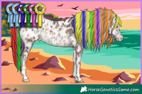 Horse Color:Painted Nacre Sable Champagne Appaloosa  and Sable Champagne Onyx Mushroom Splash Appaloosa 