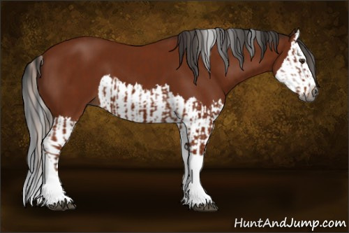 Horse Color:Gray Silver Bay Tobiano and Gray Bay Splash