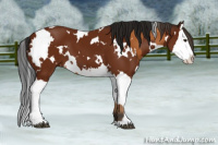 Horse Color:White Spotted Bay Splash and Gray White Spotted Bay Splash