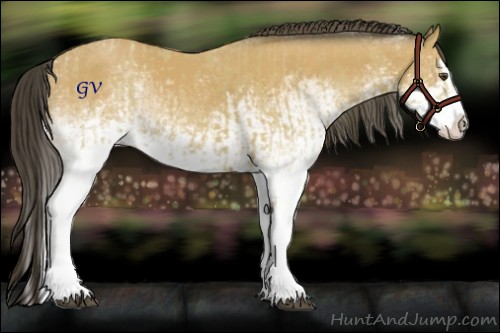Horse Color:White Spotted Buckskin Splash  and White Spotted Buckskin Splash 