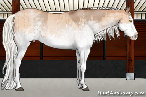 Horse Color:White Spotted Bay Pearl Dun Splash Brindle and White Spotted Silver Bay Pearl Dun Splash Brindle