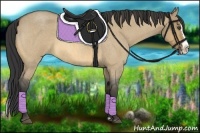Horse Color:Buckskin Roan Dun Splash