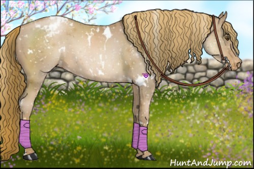 Horse Color:White Spotted Liver Chestnut Pearl Snowcap 