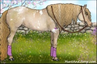 Horse Color:White Spotted Liver Chestnut Pearl Snowcap 