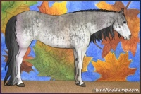 Horse Color:White Spotted Blue Roan Rabicano  and White Spotted Grullo Roan Rabicano 