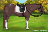 Horse Color:Chocolate Black Tobiano 