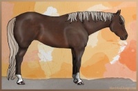 Horse Color:Silver Brown 