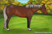 Horse Color:Silver Brown 