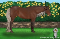 Horse Color:Silver Brown 