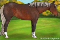 Horse Color:Silver Brown 