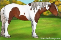 Horse Color:Silver Brown Tobiano 