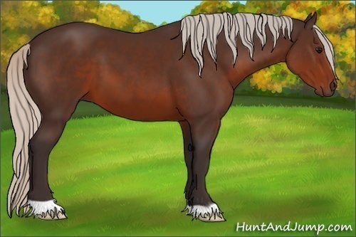 Horse Color:Silver Brown 