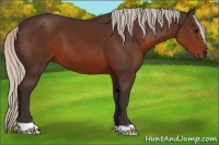 Horse Color:Silver Brown 