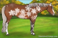 Horse Color:Silver Bay Ice Sabino