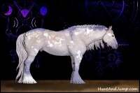 Horse Color:Watercolor White Spotted Silver Grullo Chinchilla Rabicano 