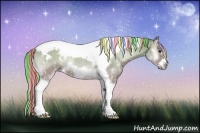 Horse Color:Painted White Spotted Silver Brown Ice Onyx Tobiano Frame Rabicano