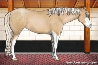 Horse Color:Silver Buckskin Pearl Sabino