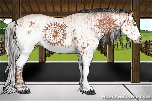 Horse Color:White Spotted Silver Bay Splash and White Spotted Bay Splash