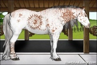 Horse Color:White Spotted Silver Bay Splash  and White Spotted Bay Splash 