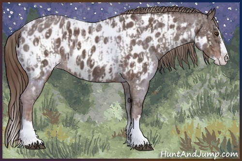 Horse Color:Liver Red Roan Sabino Splash Appaloosa  and Liver Red Roan Sabino Splash Appaloosa 