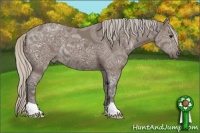 Horse Color:Silver Black Ice 